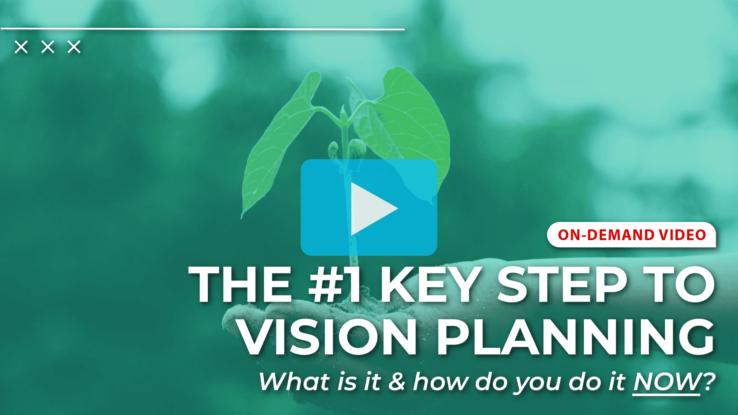 webinar thumb_Vision